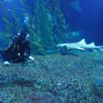 HuiChun Tang LiangCha